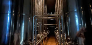 Seguimiento de formación práctica del curso Elaboración de productos a raíz del aceite de oliva Ed. 1 en Villacarrillo