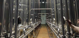 Seguimiento de formación práctica del curso Elaboración de productos a raíz del aceite de oliva Ed. 1 en Villacarrillo