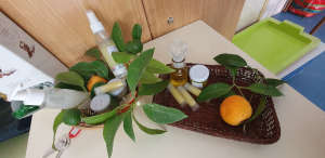 Seguimiento de formación específica del curso Elaboración de productos a raíz del aceite de oliva Ed. 3 en Alcaudete